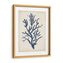 Indigo Coral Iv - Vision Studio | Cuadro decorativo de Canvas Lab