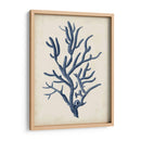 Indigo Coral Iv - Vision Studio | Cuadro decorativo de Canvas Lab