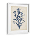 Indigo Coral Iv - Vision Studio | Cuadro decorativo de Canvas Lab
