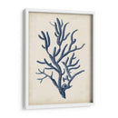 Indigo Coral Iv - Vision Studio | Cuadro decorativo de Canvas Lab