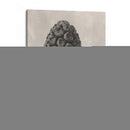 Blossfeldt Botanical Iv - Karl Blossfeldt | Cuadro decorativo de Canvas Lab