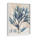 Arreglo De Algas I - Vision Studio | Cuadro decorativo de Canvas Lab
