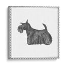 Mejor En Show Ix - Megan Meagher | Cuadro decorativo de Canvas Lab