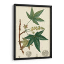 Turpin Maple Tree - Turpin | Cuadro decorativo de Canvas Lab