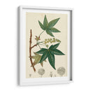 Turpin Maple Tree - Turpin | Cuadro decorativo de Canvas Lab