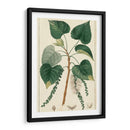 Árbol De Álamo De Turpin - Turpin | Cuadro decorativo de Canvas Lab