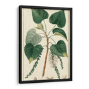 Árbol De Álamo De Turpin - Turpin | Cuadro decorativo de Canvas Lab