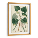 Árbol De Álamo De Turpin - Turpin | Cuadro decorativo de Canvas Lab