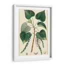 Árbol De Álamo De Turpin - Turpin | Cuadro decorativo de Canvas Lab