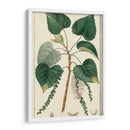 Árbol De Álamo De Turpin - Turpin | Cuadro decorativo de Canvas Lab