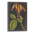 Dramáticos Tropicales Iii - Vision Studio | Cuadro decorativo de Canvas Lab