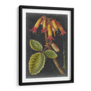 Dramáticos Tropicales Iii - Vision Studio | Cuadro decorativo de Canvas Lab
