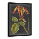 Dramáticos Tropicales Iii - Vision Studio | Cuadro decorativo de Canvas Lab
