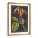 Dramáticos Tropicales Iii - Vision Studio | Cuadro decorativo de Canvas Lab
