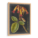 Dramáticos Tropicales Iii - Vision Studio | Cuadro decorativo de Canvas Lab