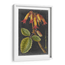 Dramáticos Tropicales Iii - Vision Studio | Cuadro decorativo de Canvas Lab