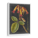 Dramáticos Tropicales Iii - Vision Studio | Cuadro decorativo de Canvas Lab