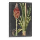 Tropicales Dramáticos Iv - Vision Studio | Cuadro decorativo de Canvas Lab