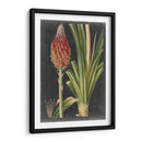 Tropicales Dramáticos Iv - Vision Studio | Cuadro decorativo de Canvas Lab