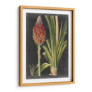 Tropicales Dramáticos Iv - Vision Studio | Cuadro decorativo de Canvas Lab