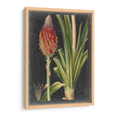 Tropicales Dramáticos Iv - Vision Studio | Cuadro decorativo de Canvas Lab