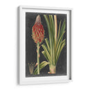 Tropicales Dramáticos Iv - Vision Studio | Cuadro decorativo de Canvas Lab