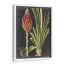 Tropicales Dramáticos Iv - Vision Studio | Cuadro decorativo de Canvas Lab