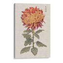 Mamá Vibrantes Iii - Vision Studio | Cuadro decorativo de Canvas Lab