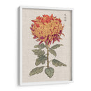 Mamá Vibrantes Iii - Vision Studio | Cuadro decorativo de Canvas Lab