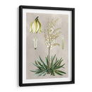 Variedades Tropicales I - Pancrace Bessa | Cuadro decorativo de Canvas Lab