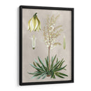 Variedades Tropicales I - Pancrace Bessa | Cuadro decorativo de Canvas Lab