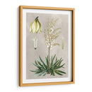 Variedades Tropicales I - Pancrace Bessa | Cuadro decorativo de Canvas Lab