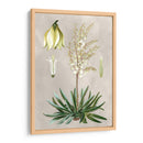 Variedades Tropicales I - Pancrace Bessa | Cuadro decorativo de Canvas Lab