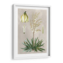 Variedades Tropicales I - Pancrace Bessa | Cuadro decorativo de Canvas Lab