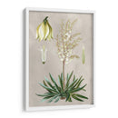 Variedades Tropicales I - Pancrace Bessa | Cuadro decorativo de Canvas Lab