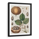 Exótico Botanique Iii - Vision Studio | Cuadro decorativo de Canvas Lab