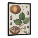 Exótico Botanique Iii - Vision Studio | Cuadro decorativo de Canvas Lab