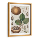 Exótico Botanique Iii - Vision Studio | Cuadro decorativo de Canvas Lab