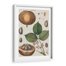 Exótico Botanique Iii - Vision Studio | Cuadro decorativo de Canvas Lab