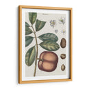 Exótico Botanique Iv - Vision Studio | Cuadro decorativo de Canvas Lab