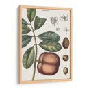 Exótico Botanique Iv - Vision Studio | Cuadro decorativo de Canvas Lab