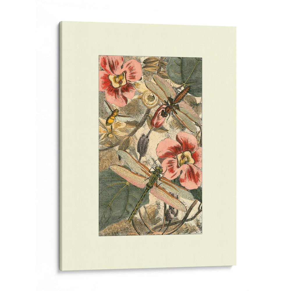 Dancing Dragonfly Ii | Cuadro decorativo de Canvas Lab