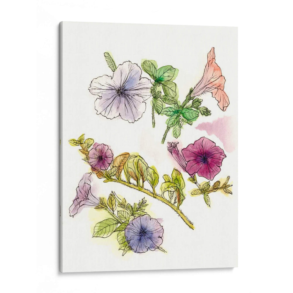 Notas De Campo Floral Iii - Melissa Wang | Cuadro decorativo de Canvas Lab