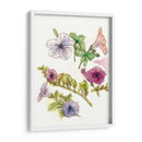 Notas De Campo Floral Iii - Melissa Wang | Cuadro decorativo de Canvas Lab