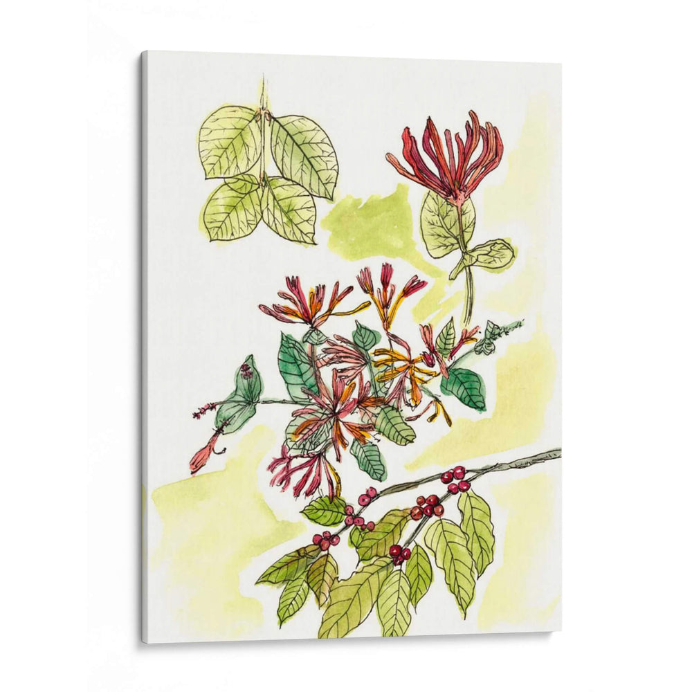 Notas De Campo Floral Iv - Melissa Wang | Cuadro decorativo de Canvas Lab