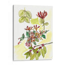 Notas De Campo Floral Iv - Melissa Wang | Cuadro decorativo de Canvas Lab