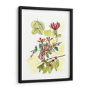 Notas De Campo Floral Iv - Melissa Wang | Cuadro decorativo de Canvas Lab