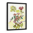 Notas De Campo Floral Iv - Melissa Wang | Cuadro decorativo de Canvas Lab