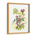 Notas De Campo Floral Iv - Melissa Wang | Cuadro decorativo de Canvas Lab