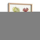 Notas De Campo Floral Iv - Melissa Wang | Cuadro decorativo de Canvas Lab